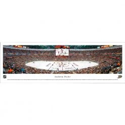 Frameworth Anaheim Ducks Panoramic Picture