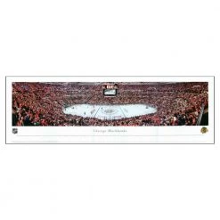 Frameworth Chicago Blackhawks Panoramic Picture